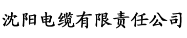 91香蕉视频久久电缆厂logo